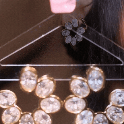 Crystal Bling Earring