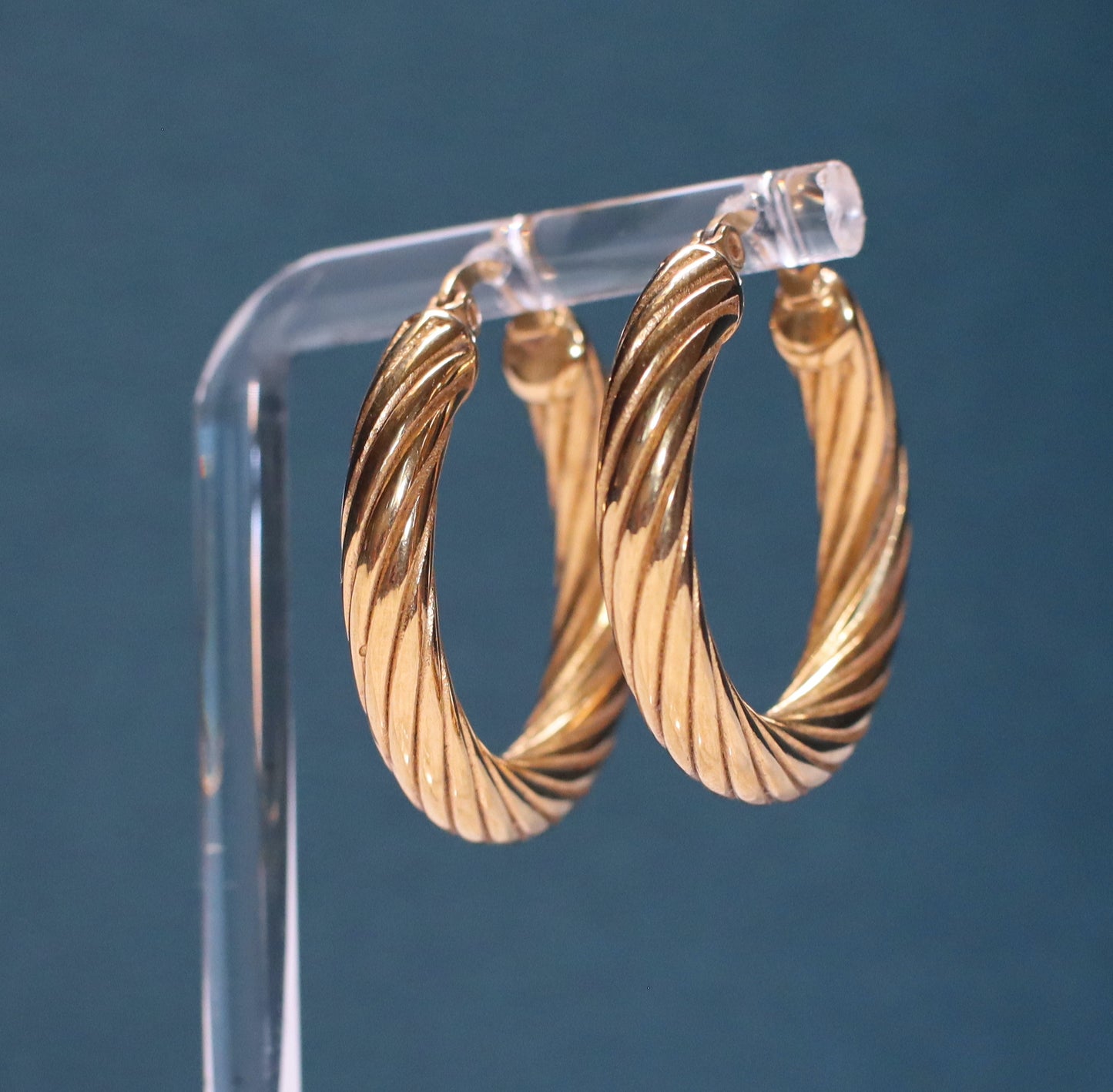 Aerin Hoops