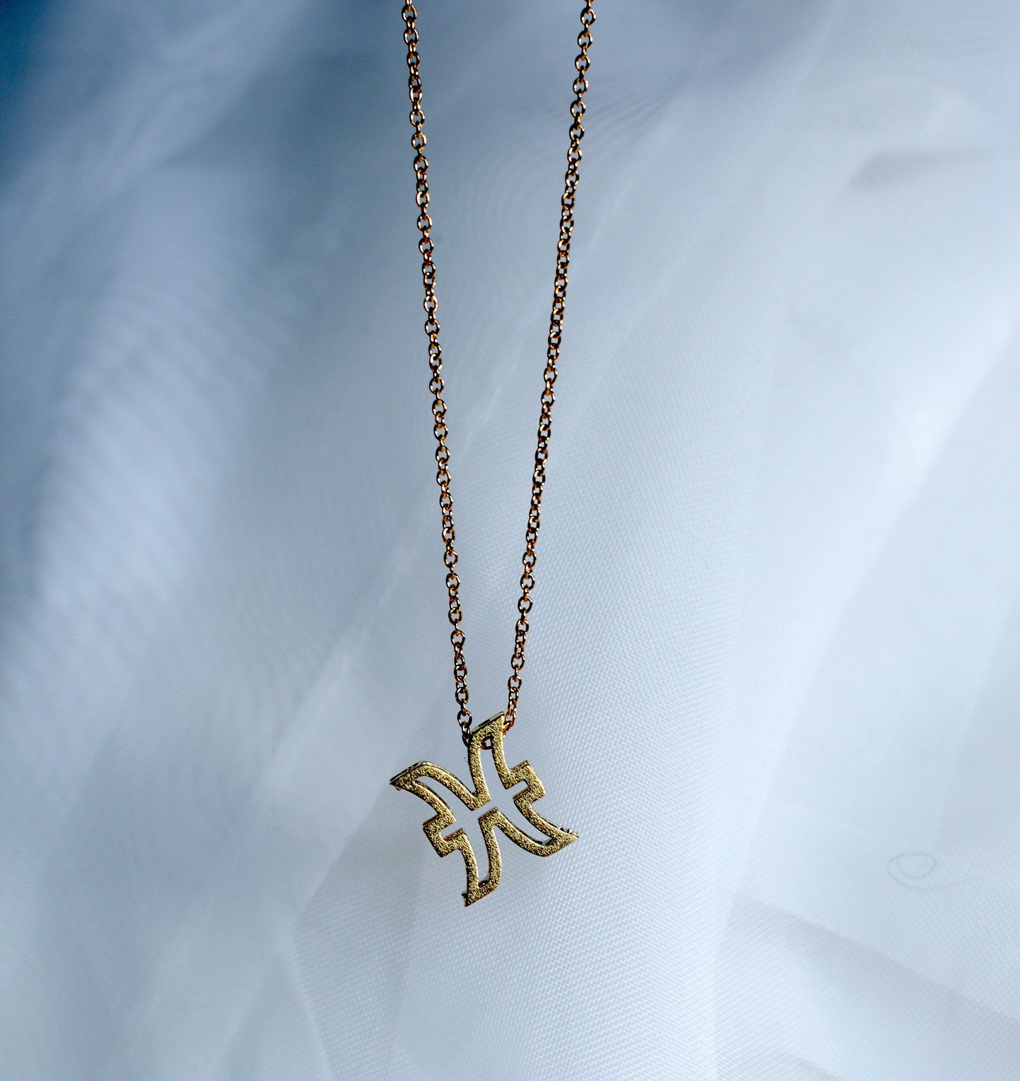 Zodiac Symbols